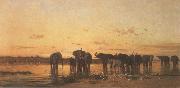 Elephants at Sunset Charles Tournemine
